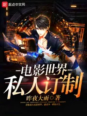 《电影世界私人订制》小说封面