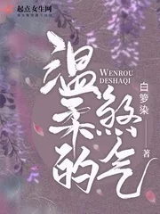 《温柔的煞气》小说封面