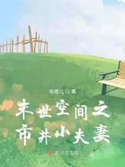 《末世空间之市井小夫妻》小说封面