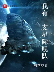 《我有一支星际舰队》小说封面