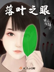 《落叶之眼》小说封面