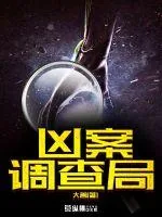《凶案调查局》小说封面