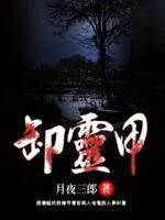 《卸灵甲》小说封面