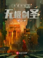 《英雄降临之无极剑圣》小说封面