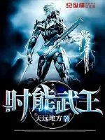 《时能武王》小说封面
