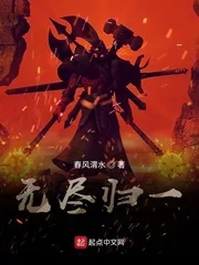 《无尽归一》小说封面