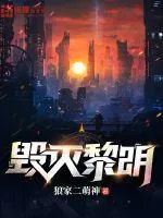 《毁灭黎明》小说封面