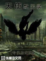 《天使默示录》小说封面