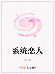 《系统恋人》小说封面