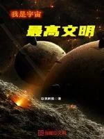 《我是宇宙最高文明》小说封面