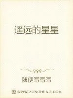《遥远的星星》小说封面