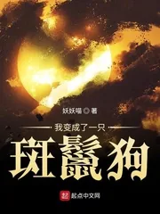 《我变成了一只斑鬣狗》小说封面
