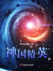 《神国精英》小说封面