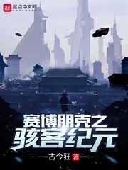 《赛博朋克之骇客纪元》小说封面