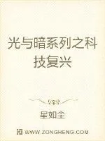 《光与暗系列之科技复兴》小说封面