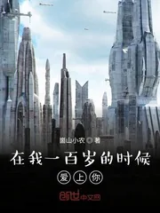 《在我一百岁的时候爱上你》小说封面