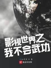 《影视世界之我不会武功》小说封面
