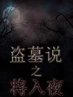 《盗墓说之将入夜》小说封面