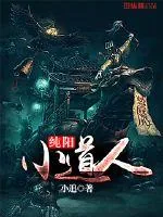 《纯阳小道人》小说封面