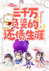 《三千万负婆的还债生涯》小说封面