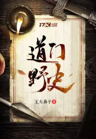 《道门野史》小说封面