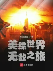 《美综世界无敌之旅》小说封面