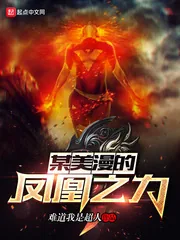 《某美漫的凤凰之力》小说封面