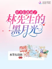 《穿书后我成了林先生的黑月光》小说封面