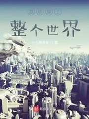 《我杀穿了整个世界》小说封面