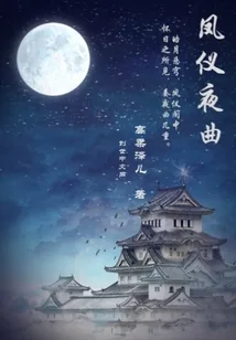 《凤仪夜曲》小说封面