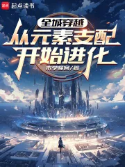 《全城穿越：从元素支配开始进化》小说封面