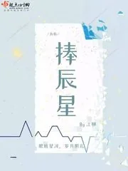 《为你捧辰星》小说封面