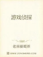 《游戏侦探》小说封面