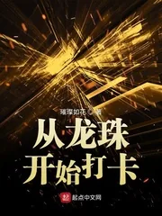 《从龙珠开始打卡》小说封面