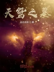 《天鸳之墓》小说封面