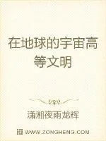 《在地球的宇宙高等文明》小说封面