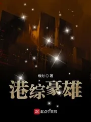 《港综豪雄》小说封面