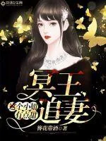 《冥王追妻：这个小妞有点甜》小说封面