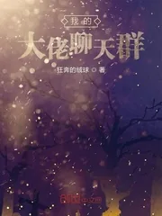 《我的大佬聊天群》小说封面