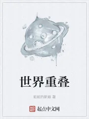 《世界重叠》小说封面