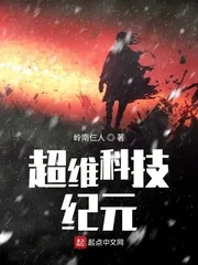 《超维科技纪元》小说封面