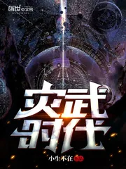 《灾武时代》小说封面