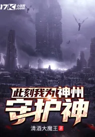 《此刻我为神州守护神》小说封面