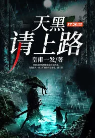 《天黑，请上路》小说封面