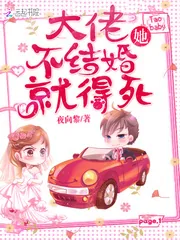 《大佬她不结婚就得死》小说封面
