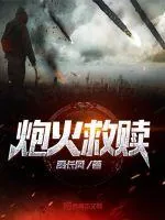 《炮火救赎》小说封面