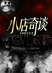 《小店奇谈》小说封面