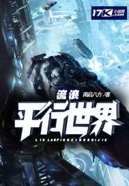 《流浪平行世界》小说封面