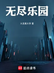 《无尽乐园》小说封面