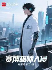 《赛博巫师入侵末日》小说封面